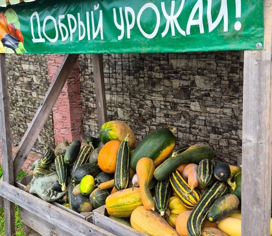 Жители Хабаровского края установили рекорд в акции по поддержке питомцев зоосада Зоосад &quotПриамурский&quot им. В.П. Сысоева